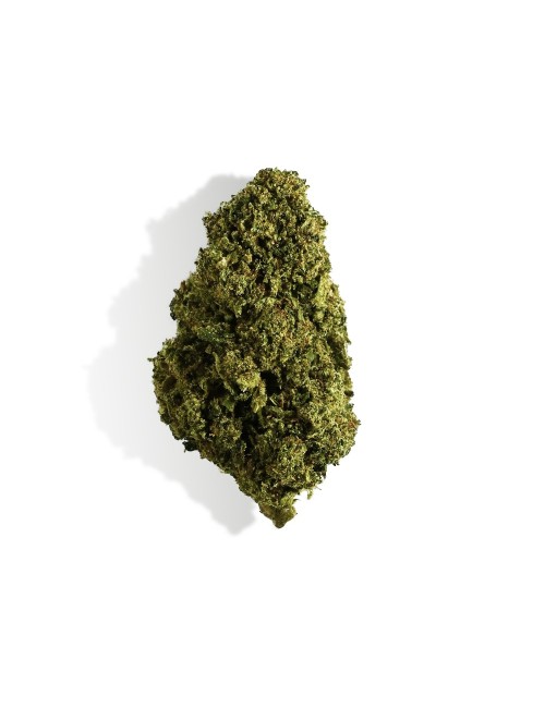 CBD-Blüten Einsteiger-Entdeckungsset