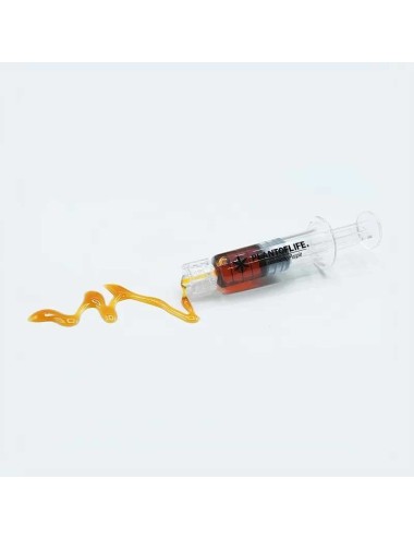 Wachs Amnesia 1ml 66% CBD | PLANT OF LIFE