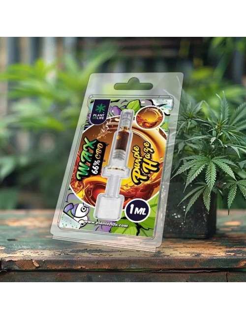 Wachs Purple Haze 1ml 66% CBD | PLANT OF LIFE