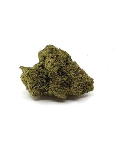 CBD-Blüte Frozen Premium