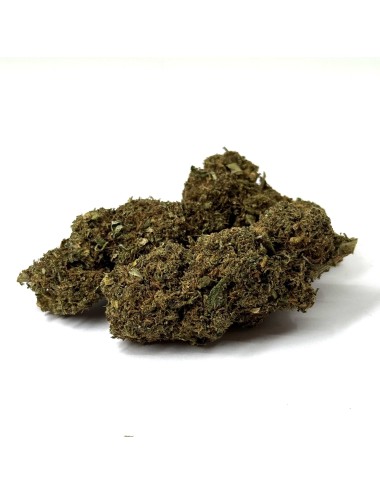 Blüte 10-OH-HHC Amnesia 15% Premium