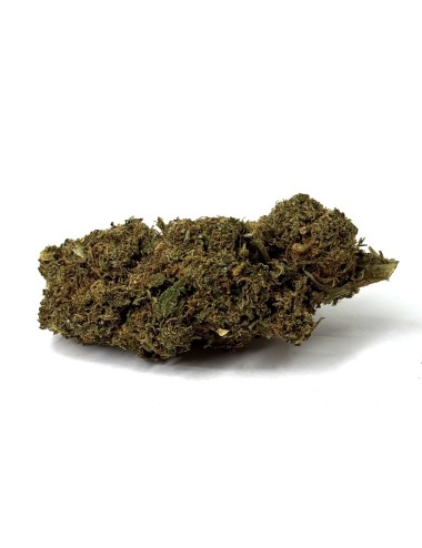 Blüte 10-OH-HHC Amnesia 15% Premium