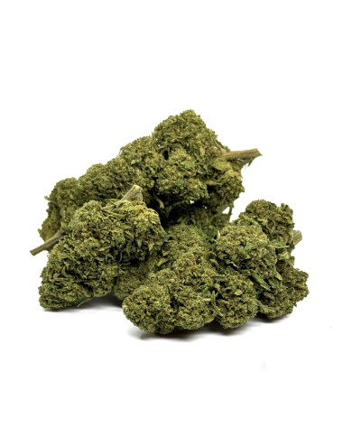 CBD-Blüte Gorilla Glue Greenhouse