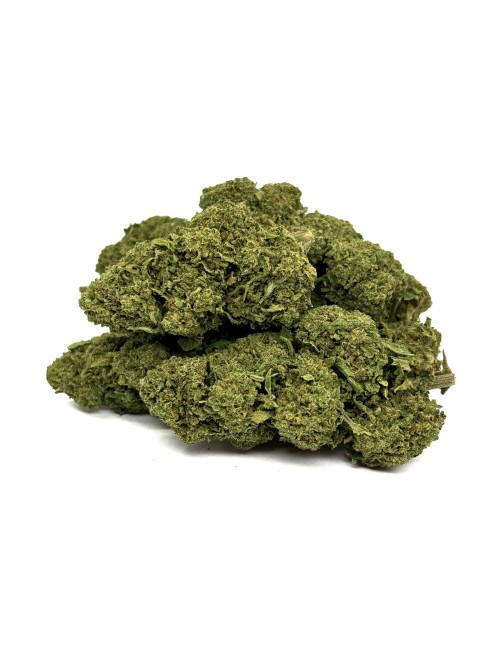 CBD-Blüte Gorilla Glue Greenhouse