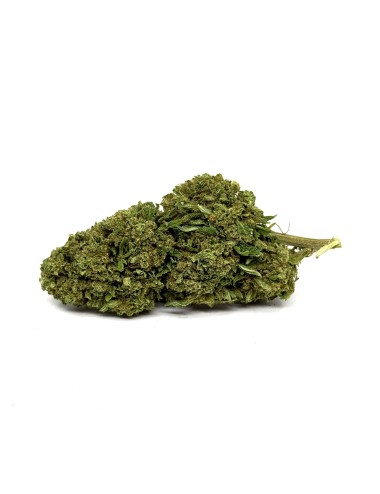 CBD-Blüte Gorilla Glue Greenhouse