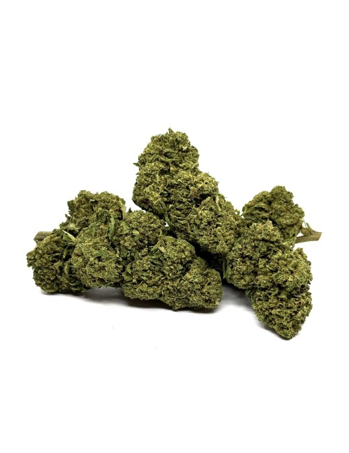 CBD-Blüte Gorilla Glue Greenhouse