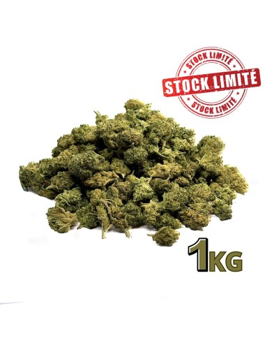 Ausverkauf 1KG SMALL BUD CBD