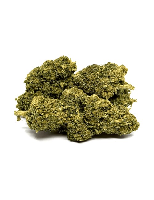 Mango Kush DELTA BZ10 20% Gewächshaus-Blüte