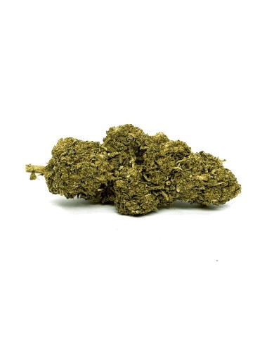 Mango Kush DELTA BZ10 20% Gewächshaus-Blüte