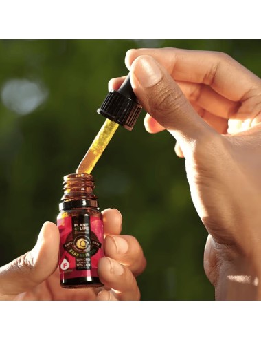 CBN CBD Öl 10% 10ML Full Spectrum | PLANT OF LIFE