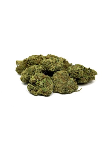CBD-Blüten LIFTER Premium Greenhouse