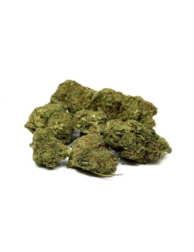 CBD-Blüten LIFTER Premium Greenhouse