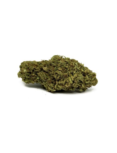 CBD-Blüten LIFTER Premium Greenhouse