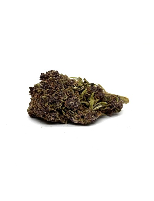 CBD-Blüte Purple Haze 2.0 Premium Indoor