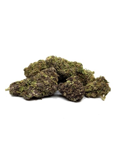 CBD-Blüte Purple Haze 2.0 Premium Indoor