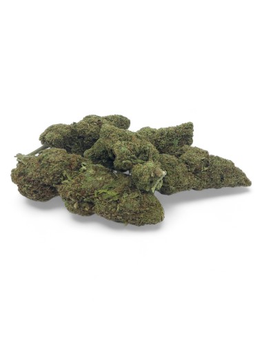 CBD-Blüte Mandarine Premium Gewächshaus