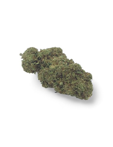 CBD-Blüte Mandarine Premium Gewächshaus