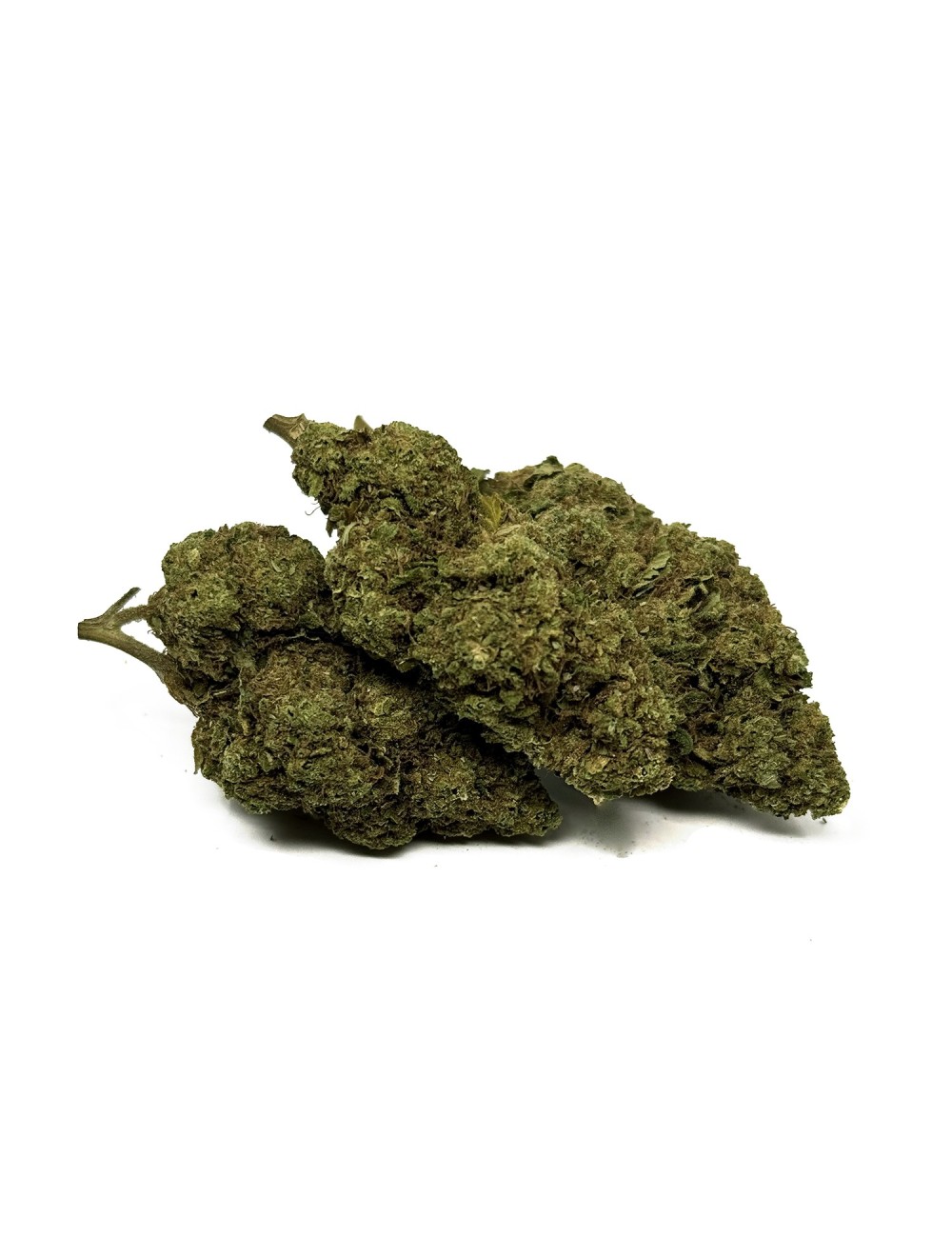 CBD-Blüte Blue Dream Greenhouse