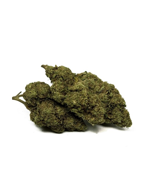 CBD-Blüte Blue Dream Greenhouse