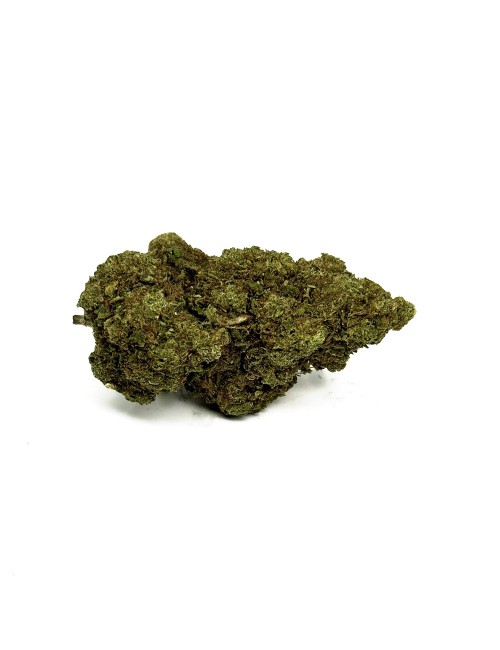 CBD-Blüte Blue Dream Greenhouse