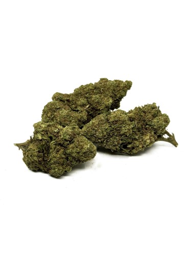 CBD-Blüte Blue Dream Greenhouse
