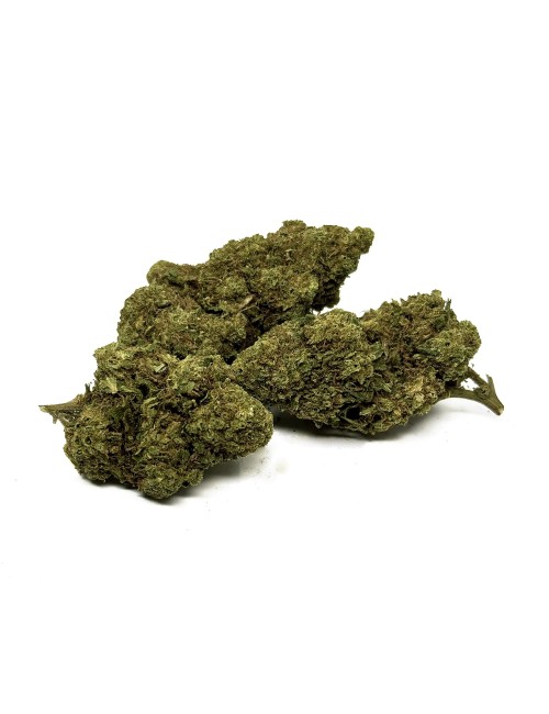 CBD-Blüte Blue Dream Greenhouse