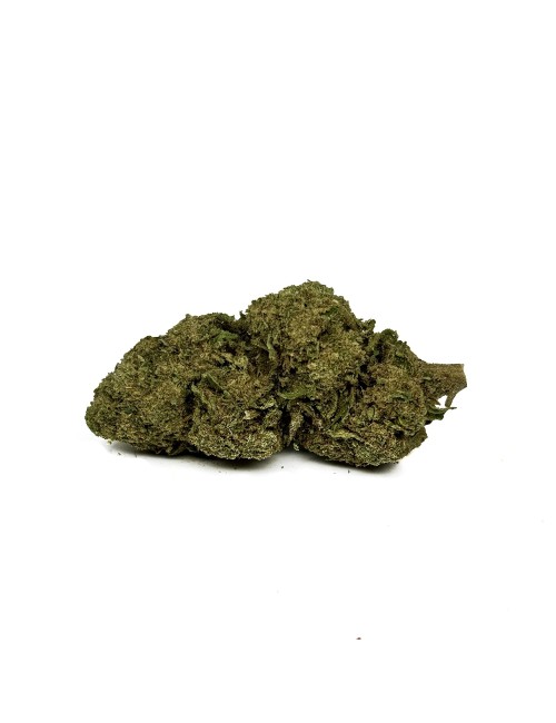 CBD-Blüte Pineapple Express Greenhouse