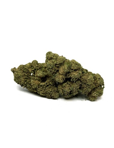 CBD-Blüte Pineapple Express Greenhouse
