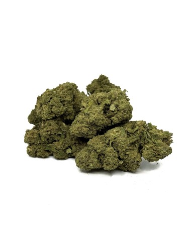 CBD-Blüte Buddha Fruit Premium Indoor