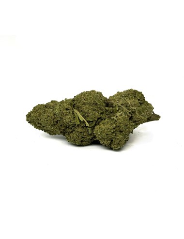 CBD-Blüte Buddha Fruit Premium Indoor