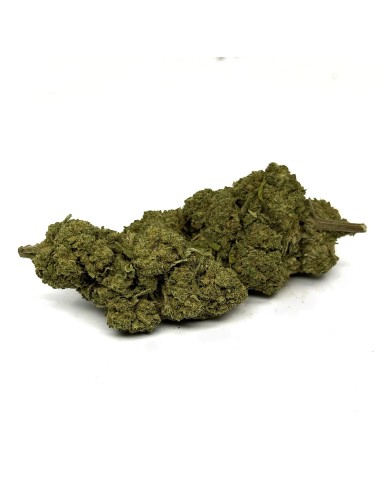 CBD-Blüte Buddha Fruit Premium Indoor