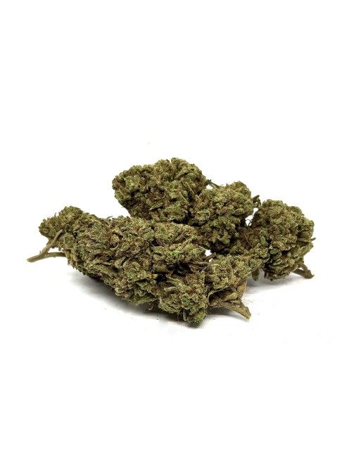 CBD-Blüte White Widow Greenhouse