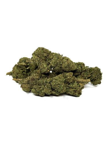 CBD-Blüte La Frappe Delta BZ10 + 10-OH-HHC 25% + MCPN 20%
