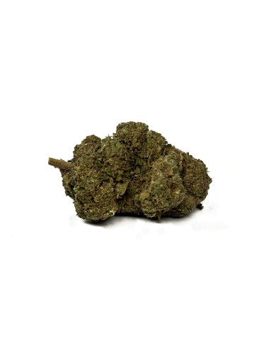 CBD-Blüte La Frappe Delta BZ10 + 10-OH-HHC 25% + MCPN 20%