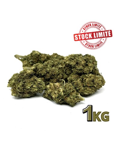 CBD-Blüte Silver Haze 1kg Premium
