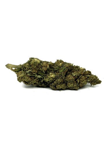 CBD-Blüte Silver Haze 1kg Premium