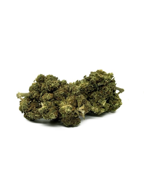 CBD-Blüte Silver Haze 1kg Premium