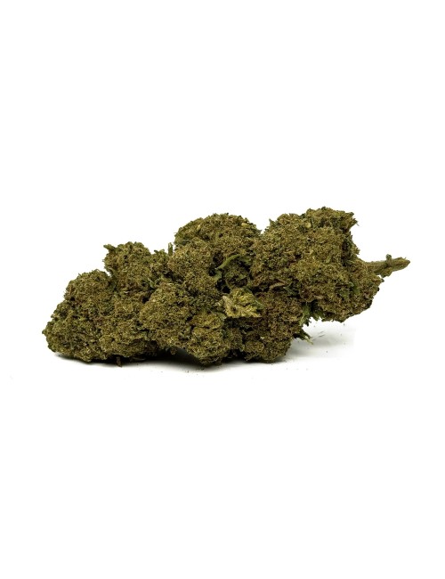 CBD-Blüte Cannatonic 1kg Premium
