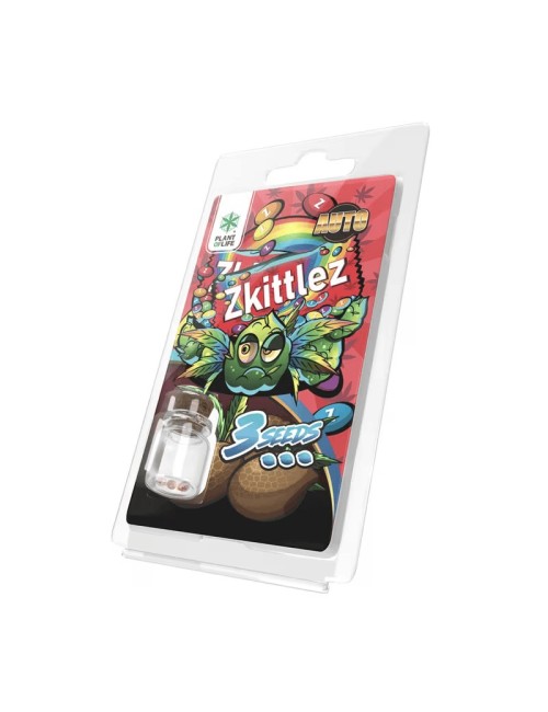 3 Zkittlez AUTO Samen | Plant of Life