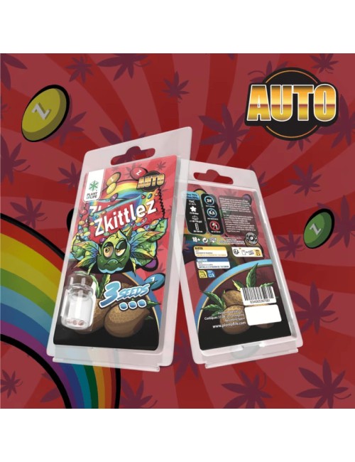 3 Zkittlez AUTO Samen | Plant of Life