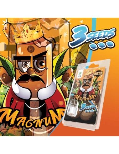 3 Magnum AUTO Samen | Plant of Life