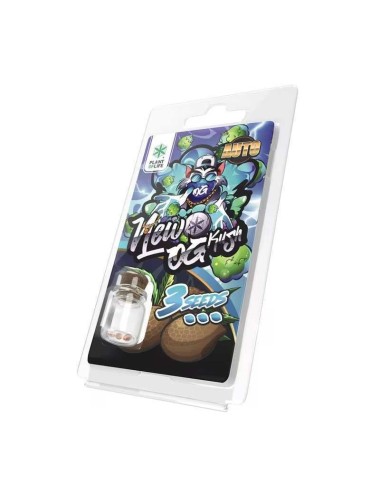 3 Samen New OG Kush AUTO | Plant of Life