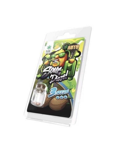 3 Sour Diesel AUTO Samen | Plant of Life