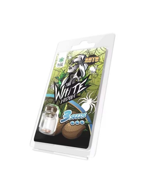3 White Widow AUTO Samen | Plant of Life