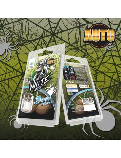 3 White Widow AUTO Samen | Plant of Life
