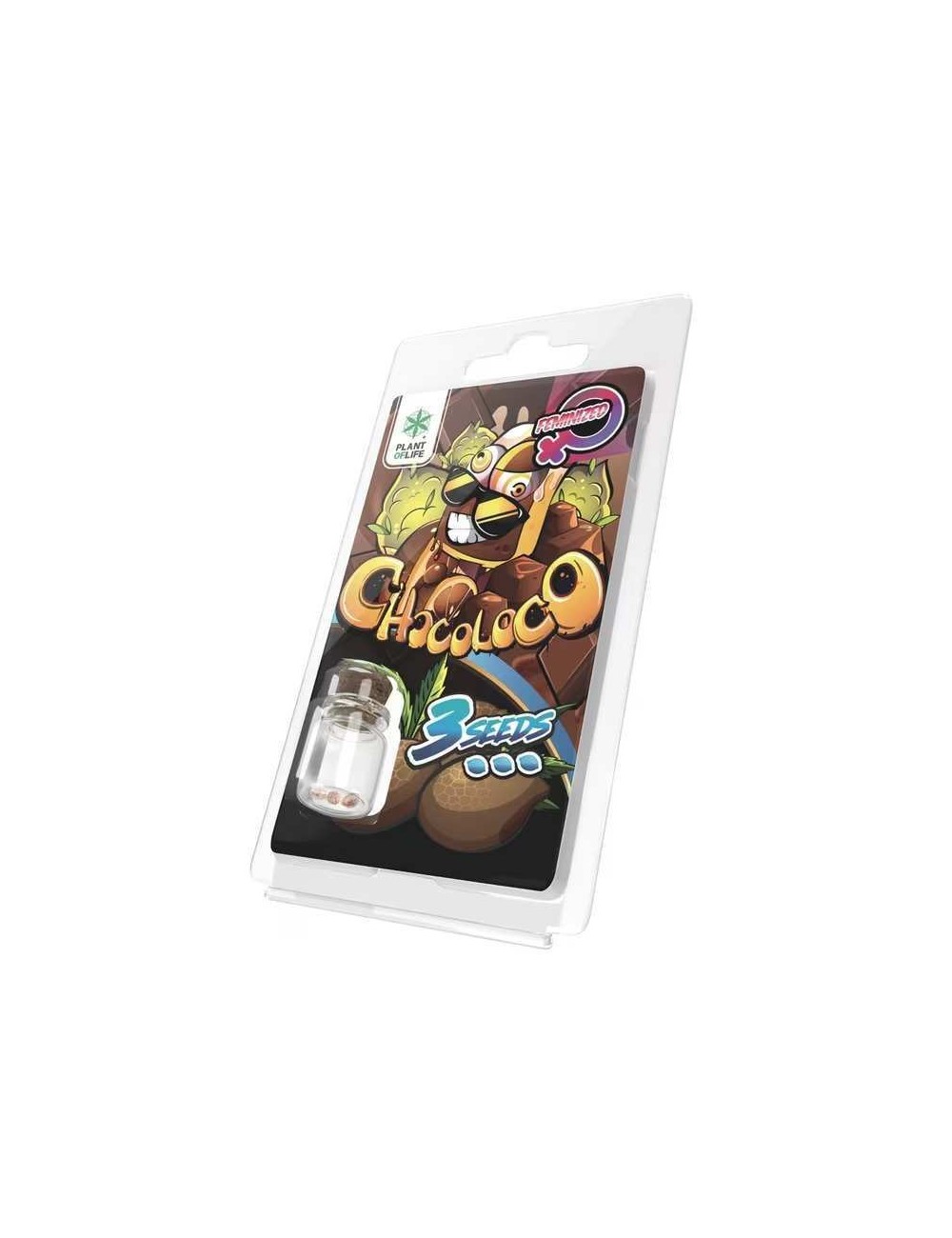 3 Chocoloco FEMINISIERTE Samen | Plant of Life