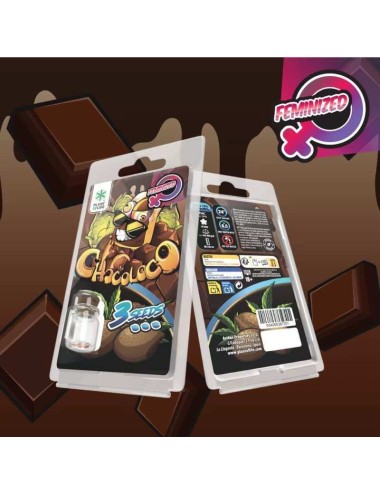 3 Chocoloco FEMINISIERTE Samen | Plant of Life