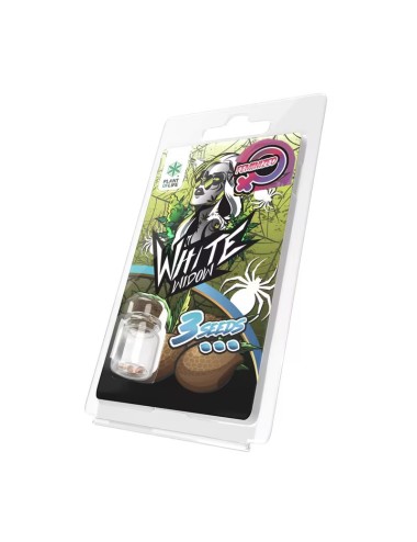 3 White Widow FEMINISIERTE Samen | Plant of Life