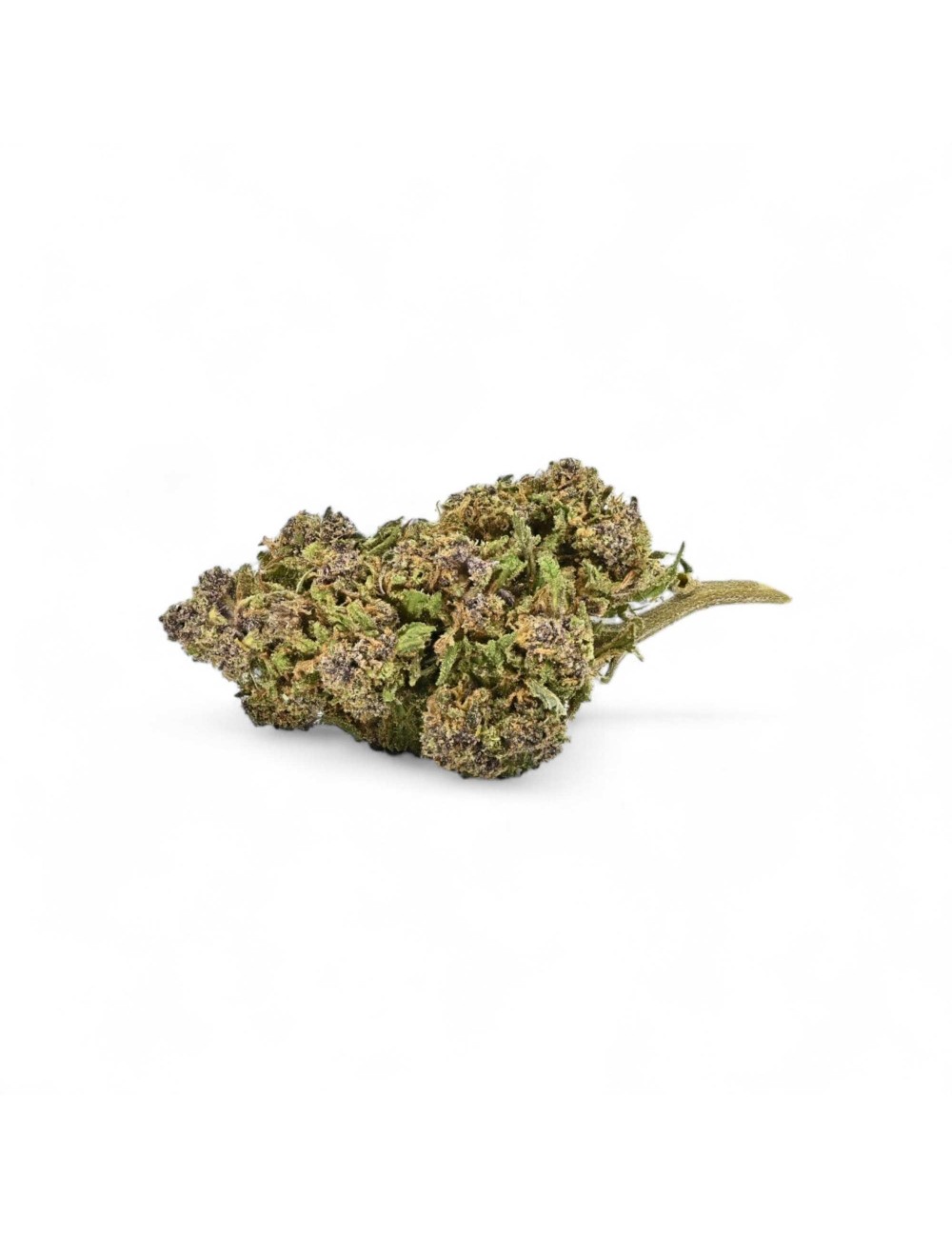 CBD-Blüte Purple Cookie Greenhouse Premium