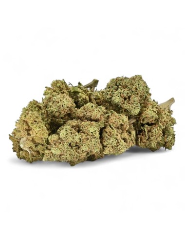 CBD-Blüte Remedy Greenhouse Premium